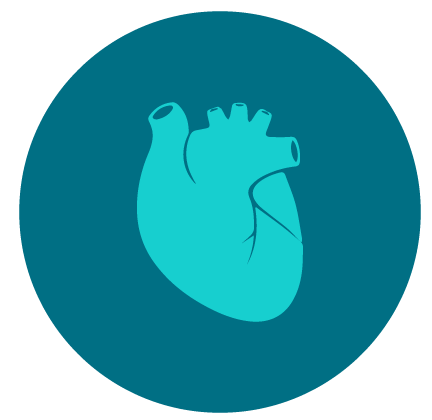 Cardiology Icon